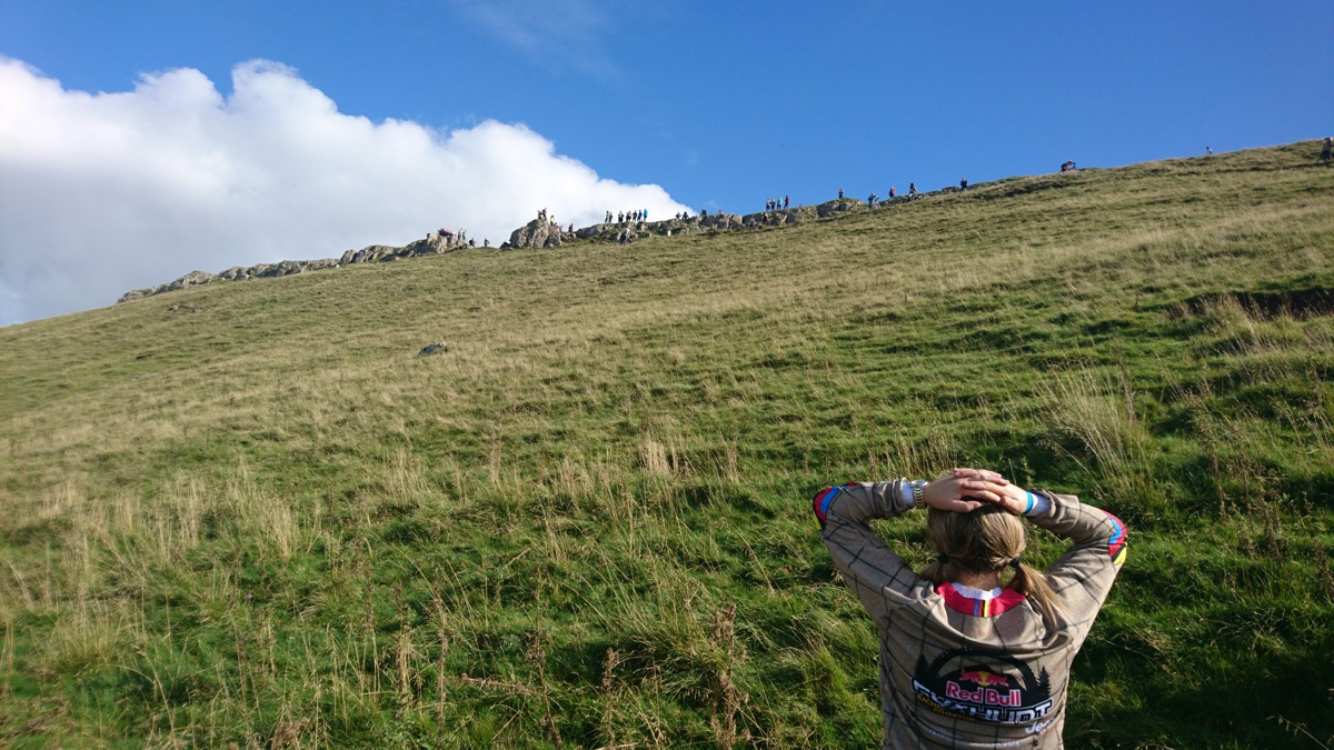 Red Bull Foxhunt