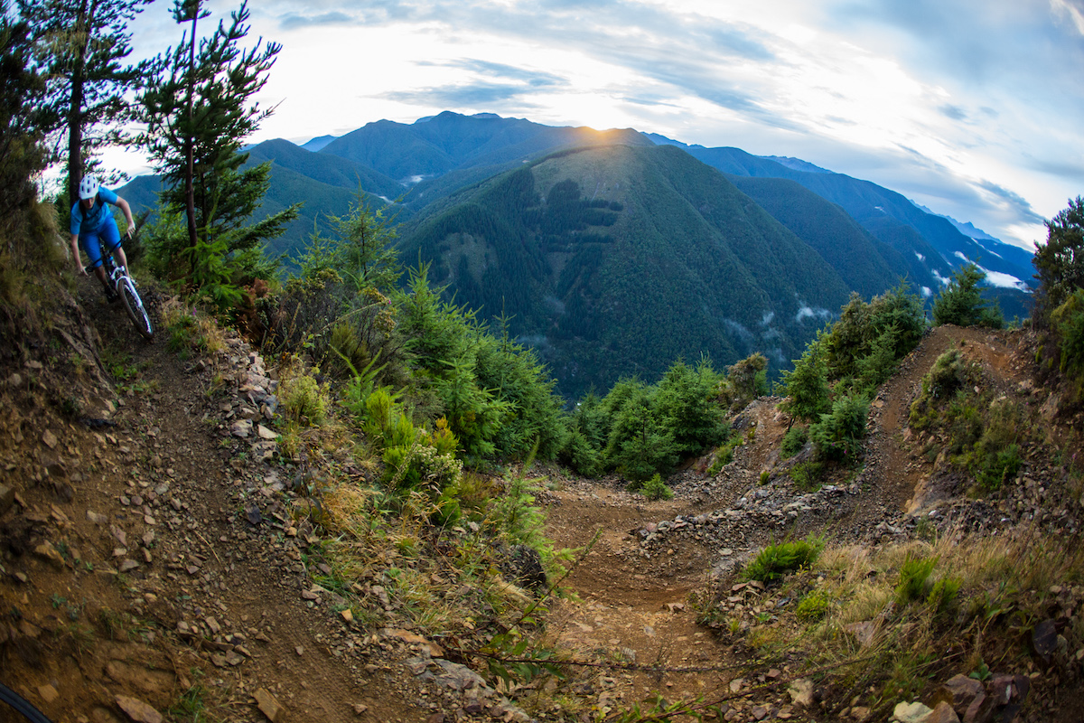 nelson new zealand bikepark club