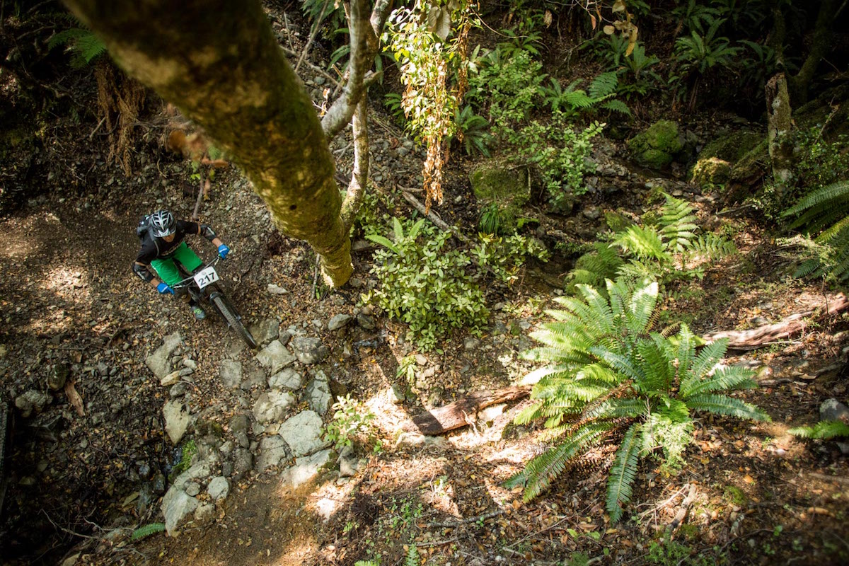 nelson new zealand bikepark club