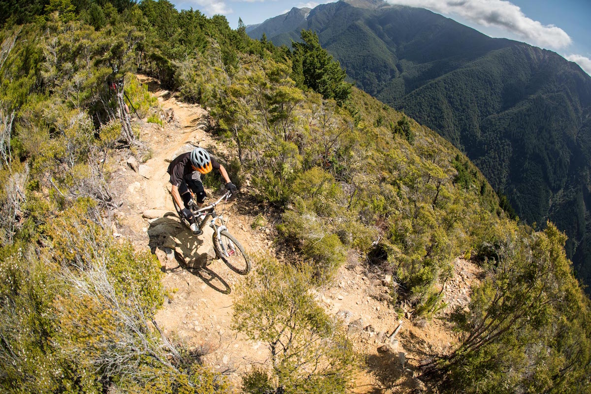 nelson new zealand bikepark club