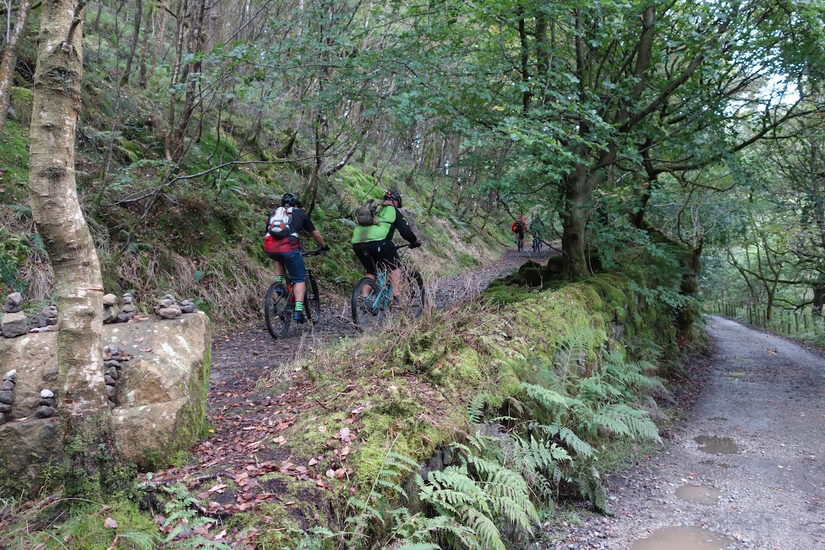 reader awards trade day hebden bridge mental health group ride mates friends moss green fern