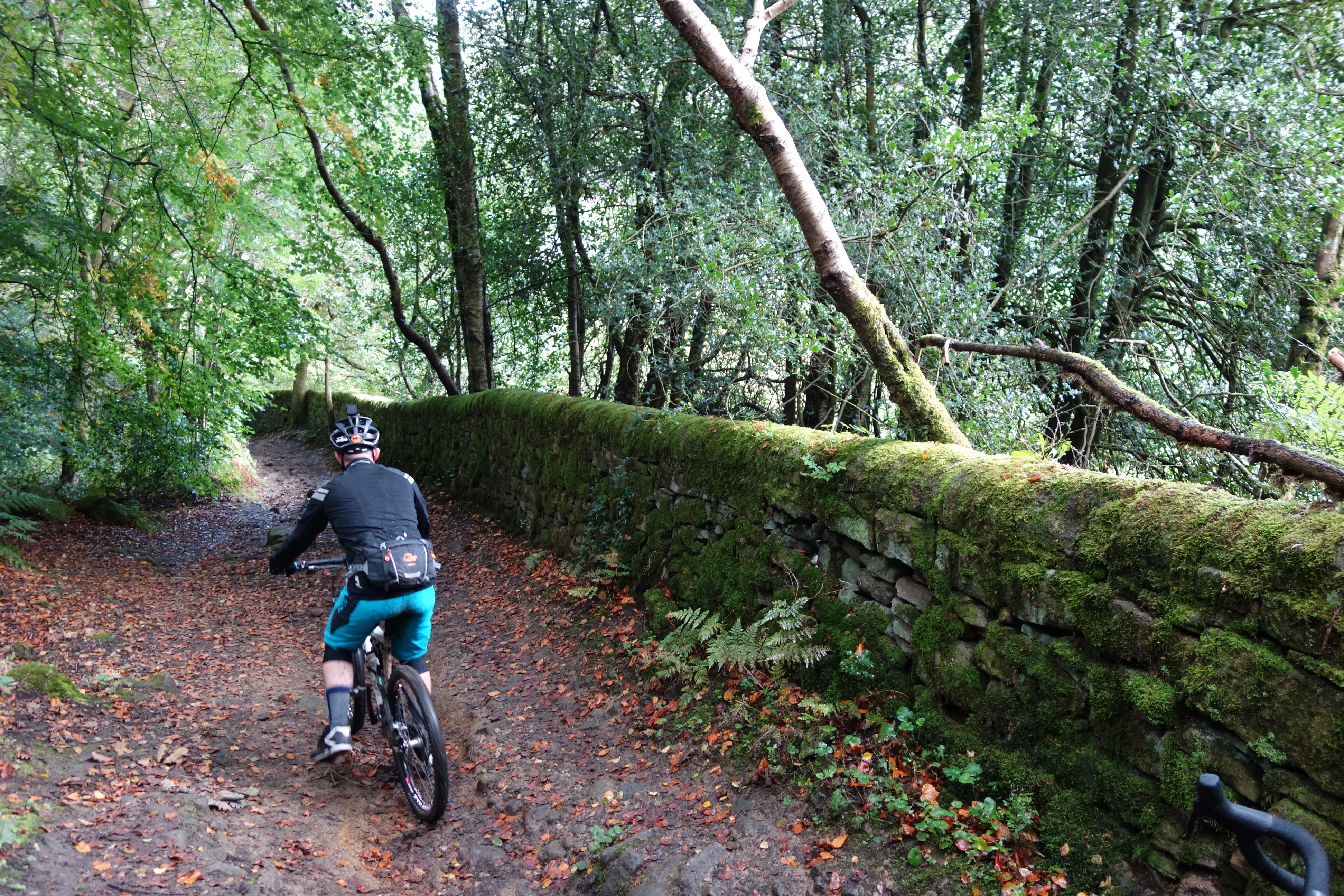 reader awards trade day hebden bridge mental health group ride mates friends moss green fern