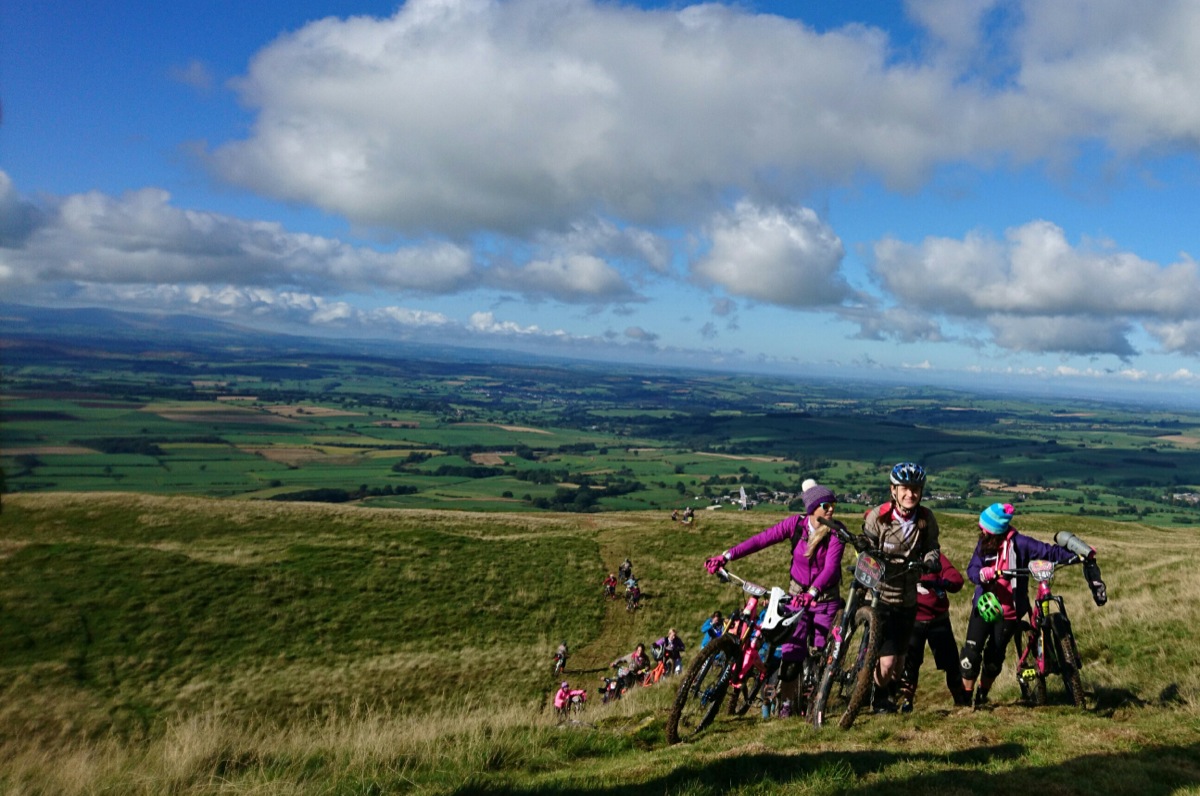 Red Bull Foxhunt