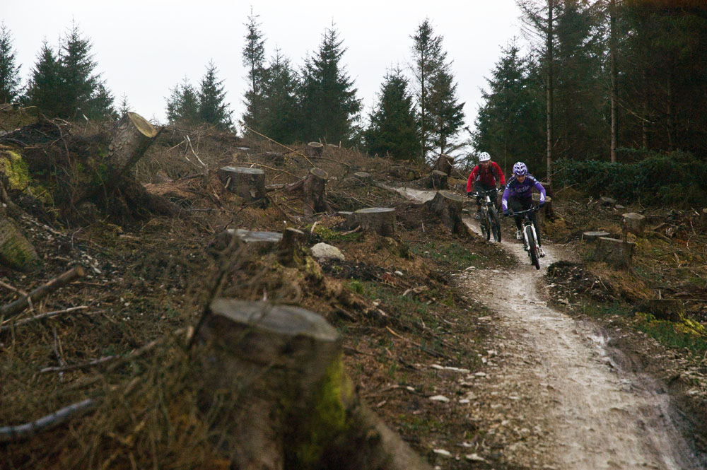 Llandegla Night Enduro Race