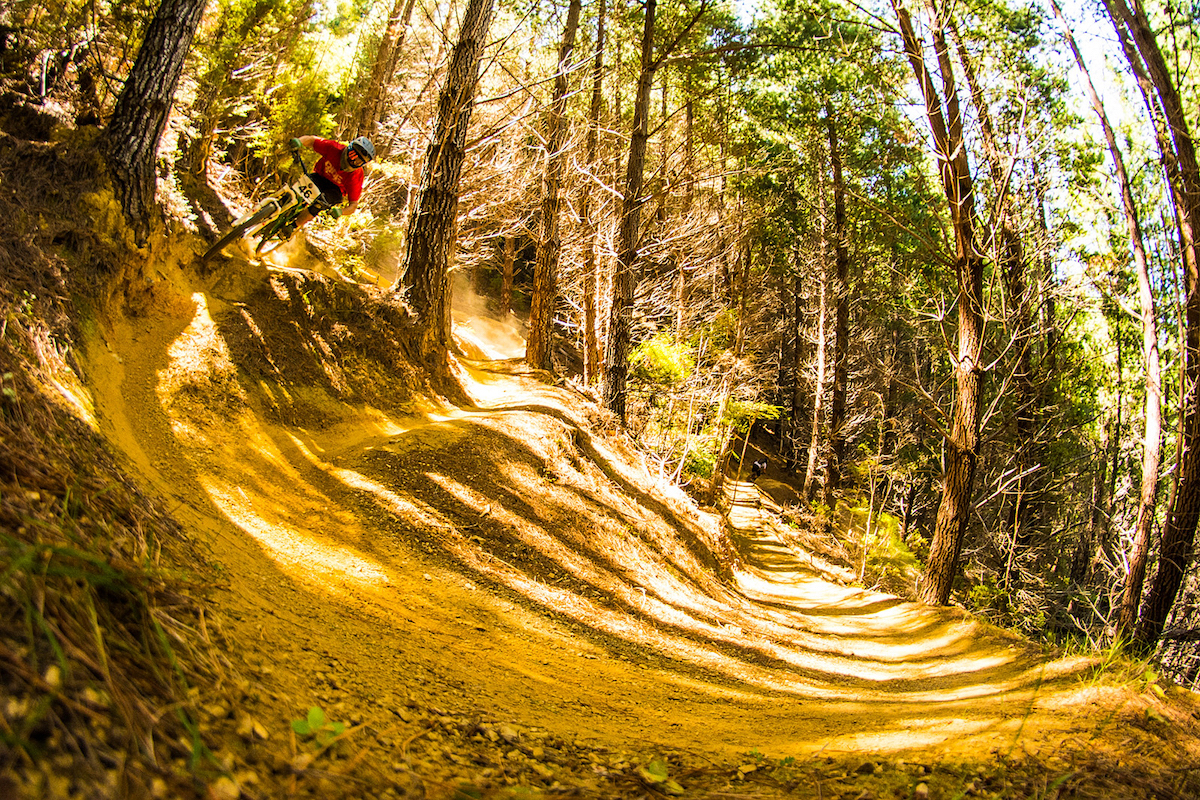 nelson new zealand bikepark club