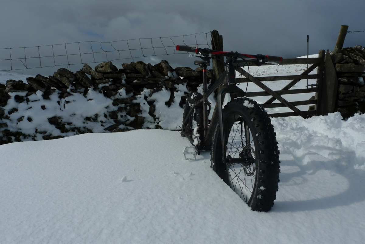 fat-bike