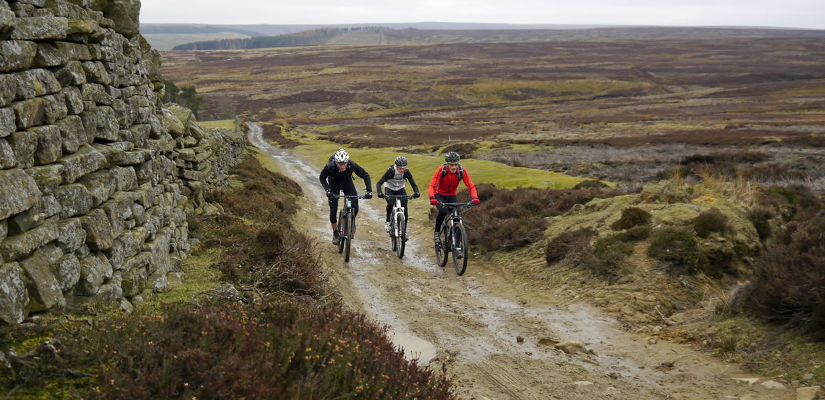 issue 105 group test hardtail race carbon 29in bmc niner trek olly townsend winter cold lycra