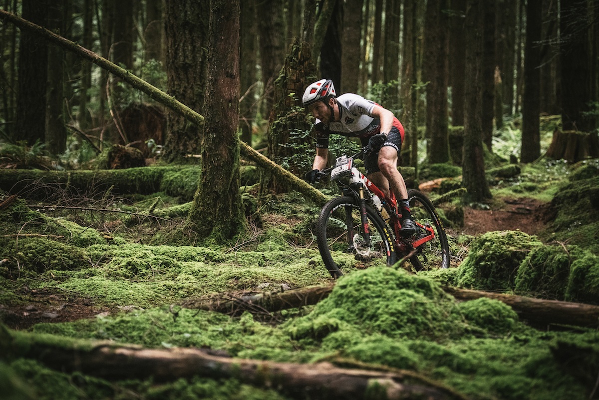 rocky mountain element bc bike race forest green loam