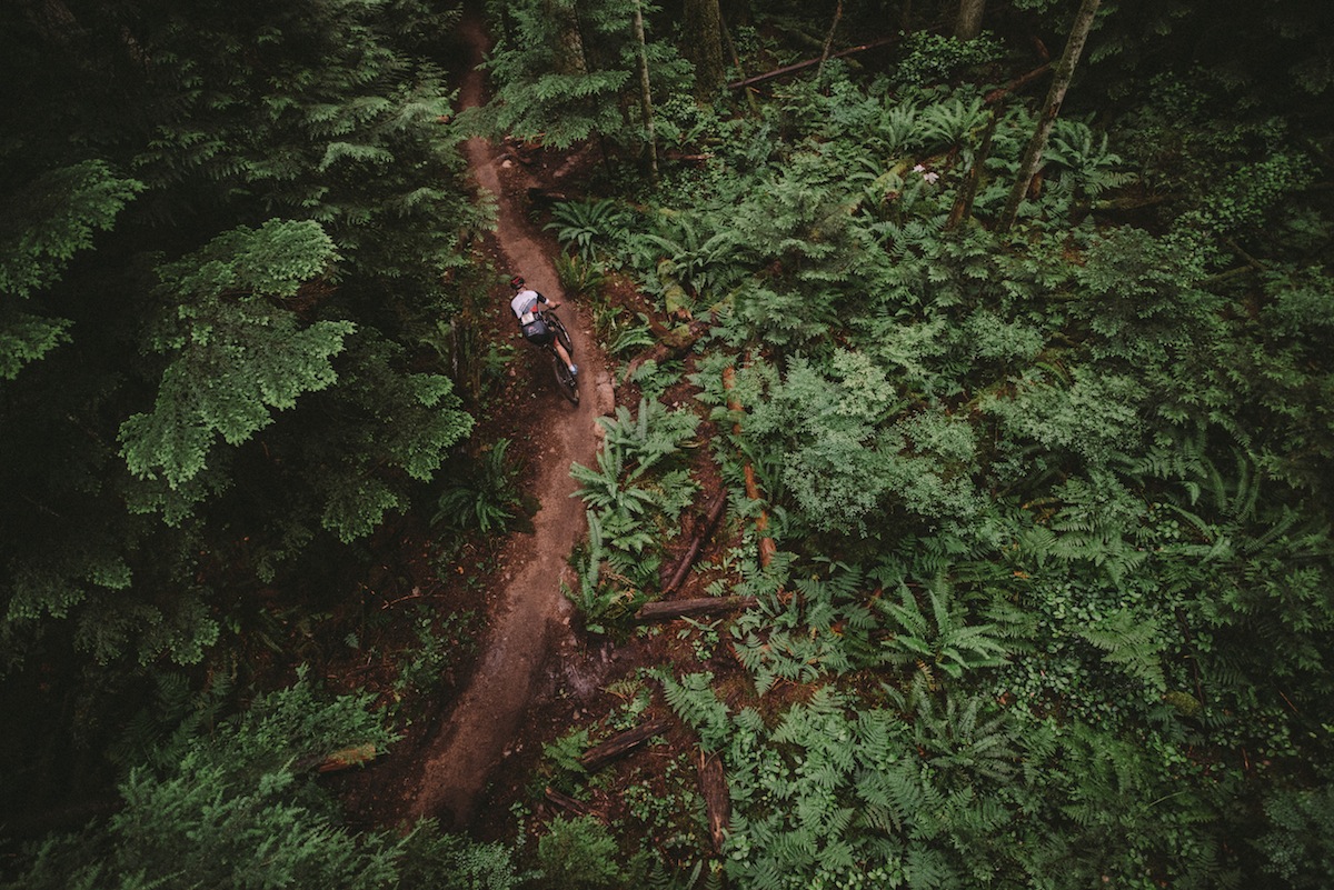 rocky mountain element bc bike race forest green loam