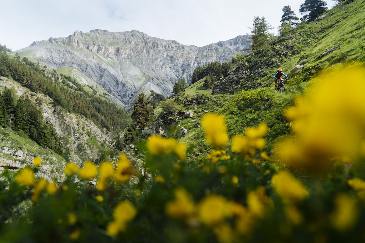 mavic trans-provence enduro stage race france french enduro