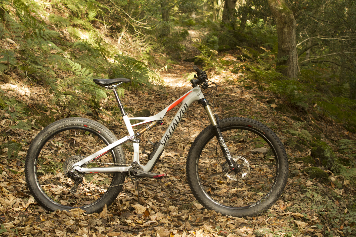 specialized_rhyme_1