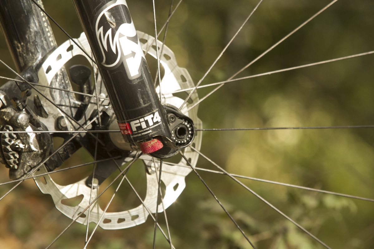 specialized_rhyme_22