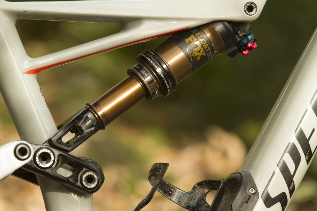 specialized_rhyme_25