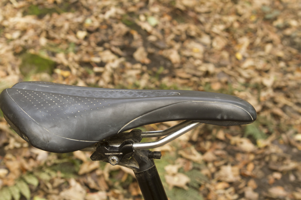 specialized_rhyme_59