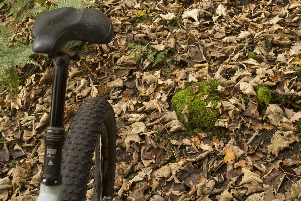 specialized_rhyme_60