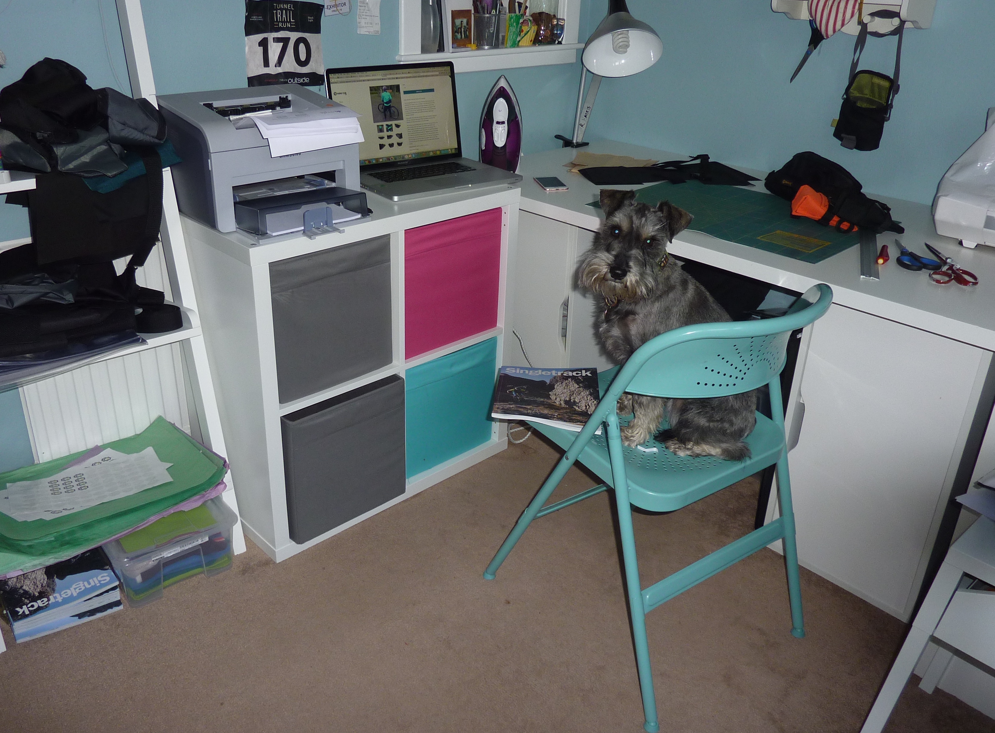 wee-cog-workplace