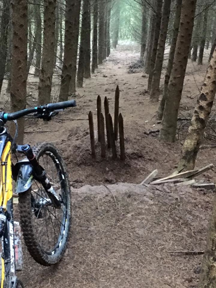 Credit: Twelve50 Bikes Facebook Page