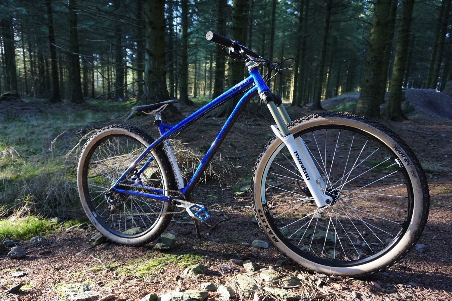 Mid-Review Report: NS Eccentric Cromo