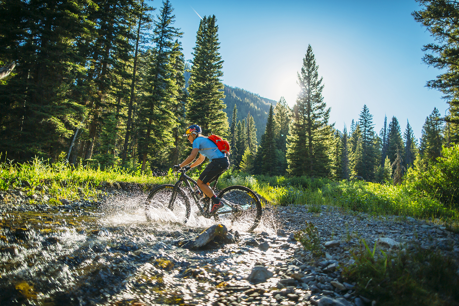 Seeking The Limelight