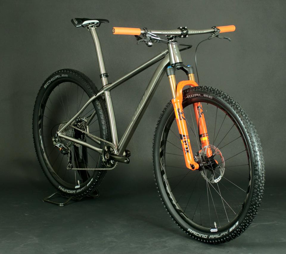 pilot titanium hardtail lauf pinion gearbox belt drive custom dutch