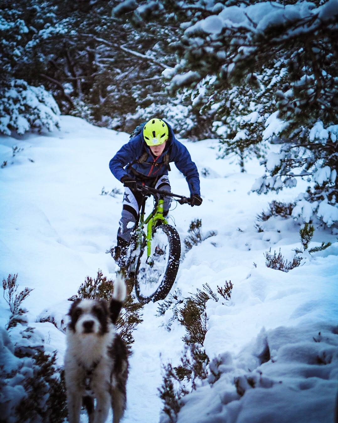 rachel sokal tom nash olly oli townsend snow fatbike fatbiking dog puppy monday morning debrief lake district mountain tom hill whiskey