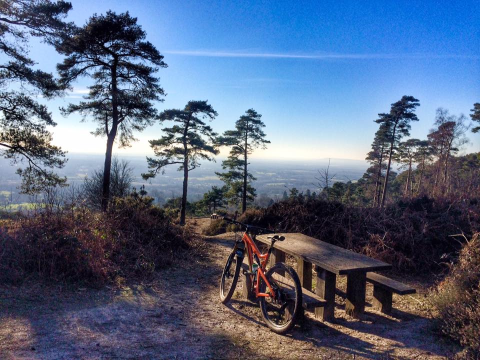 monday morning debrief adele