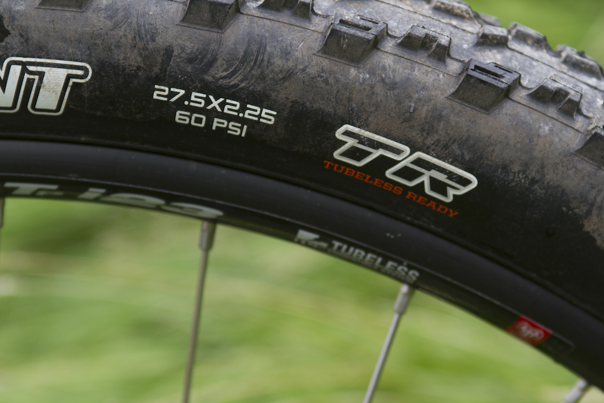 genesis core 30 hardtail wil issue 110