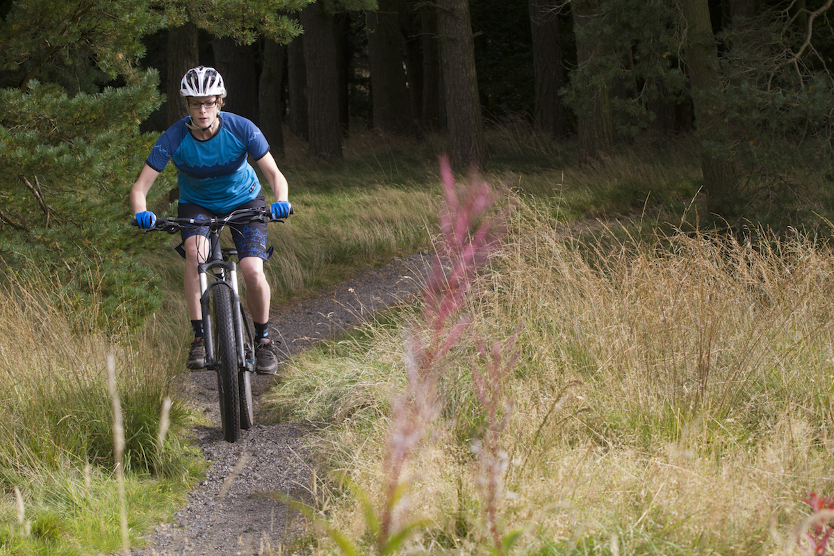 diamondback plus bike 27.5 hardtail budget