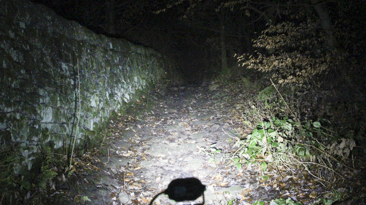 gloworm cx trail handlebar light helmet led