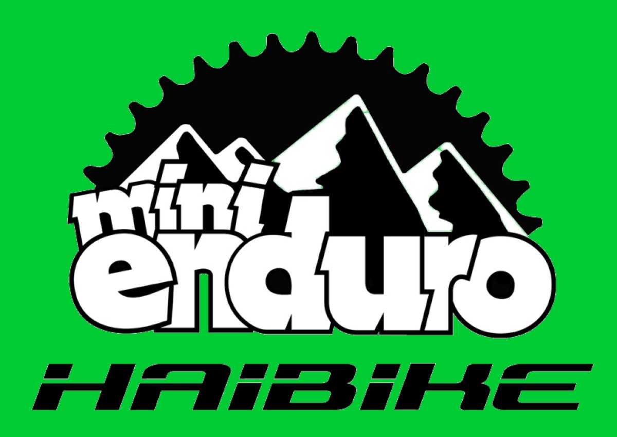 Haibike Mini Enduro