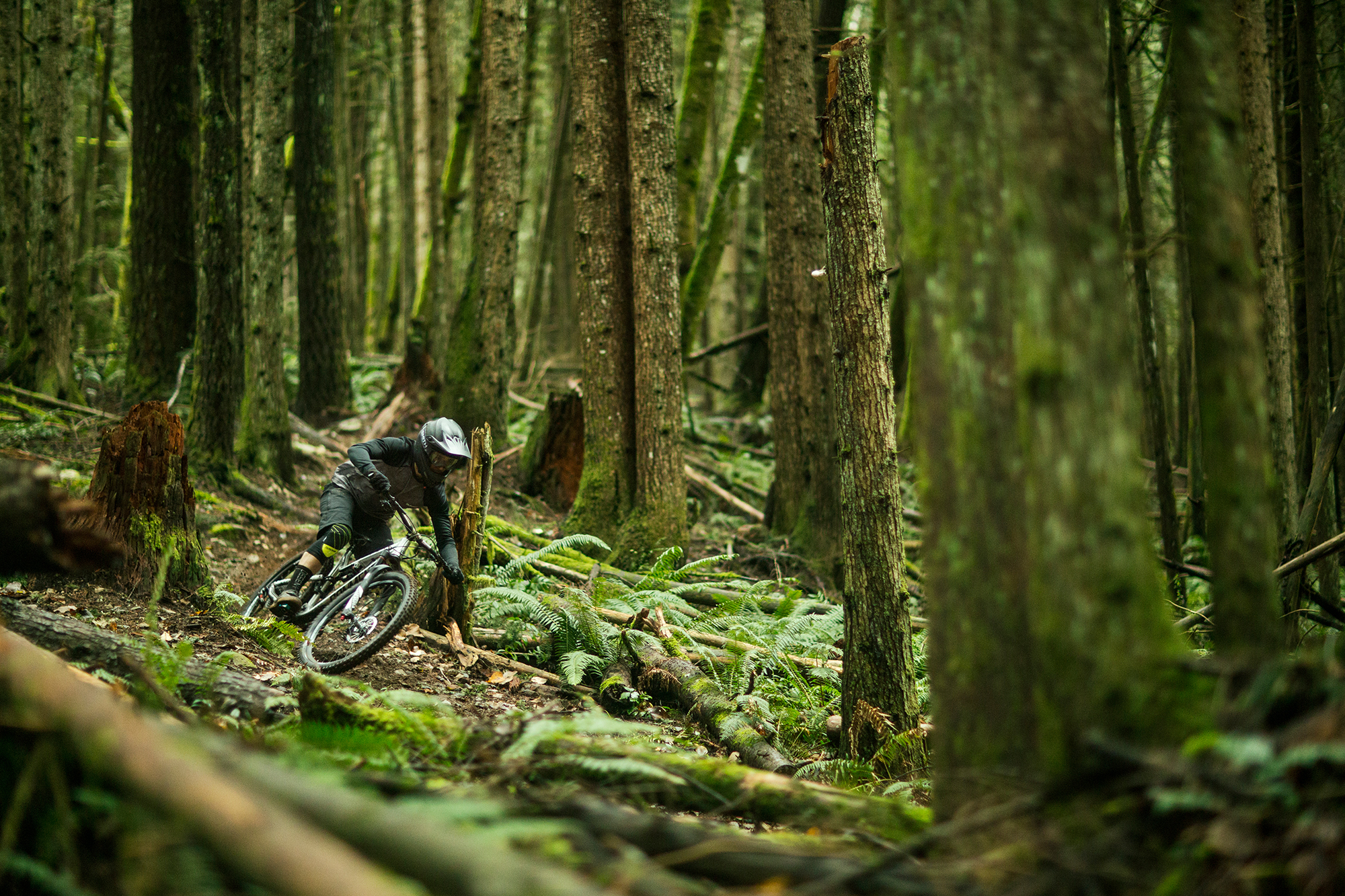 Yoann Barelli