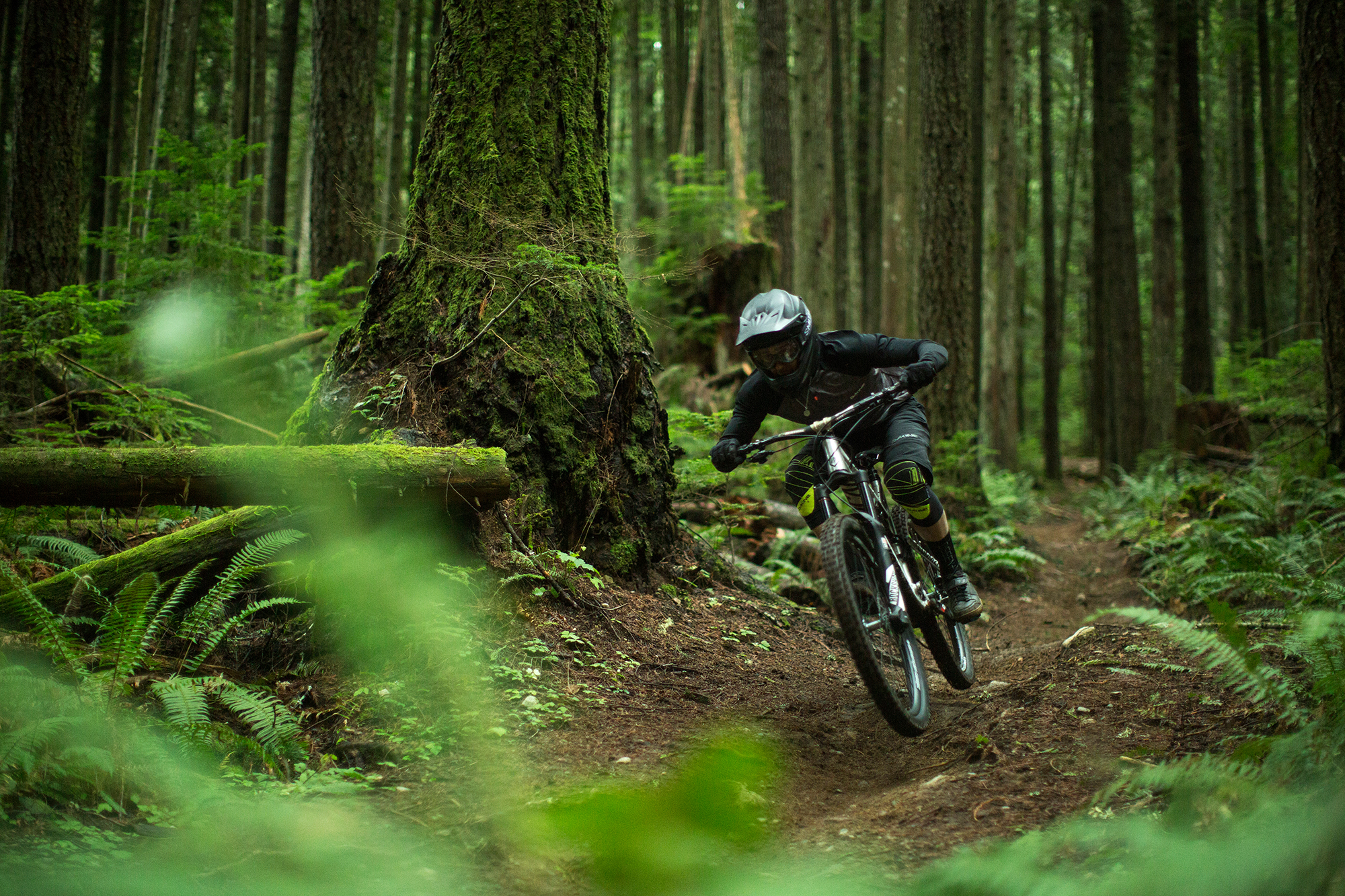 Yoann Barelli