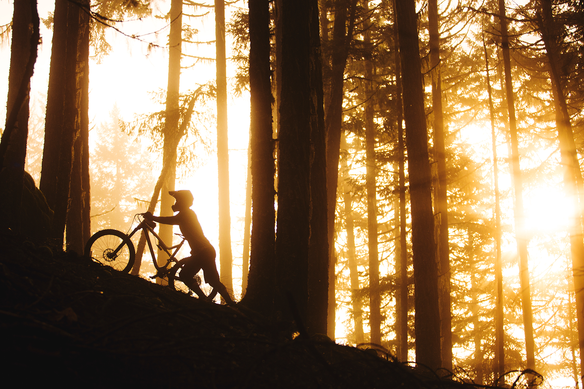Yoann Barelli
