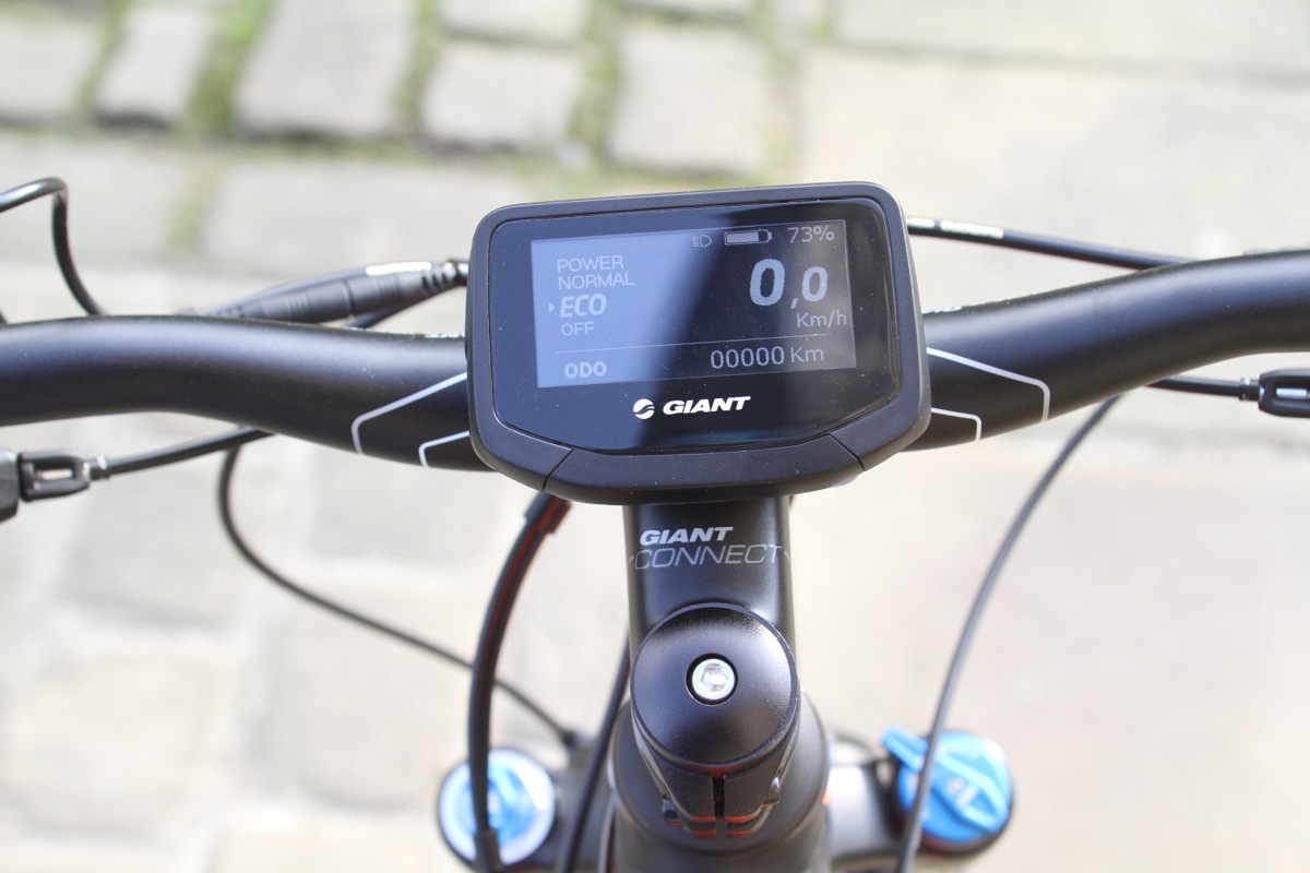 Giant Full E+1 Ebike FGF
