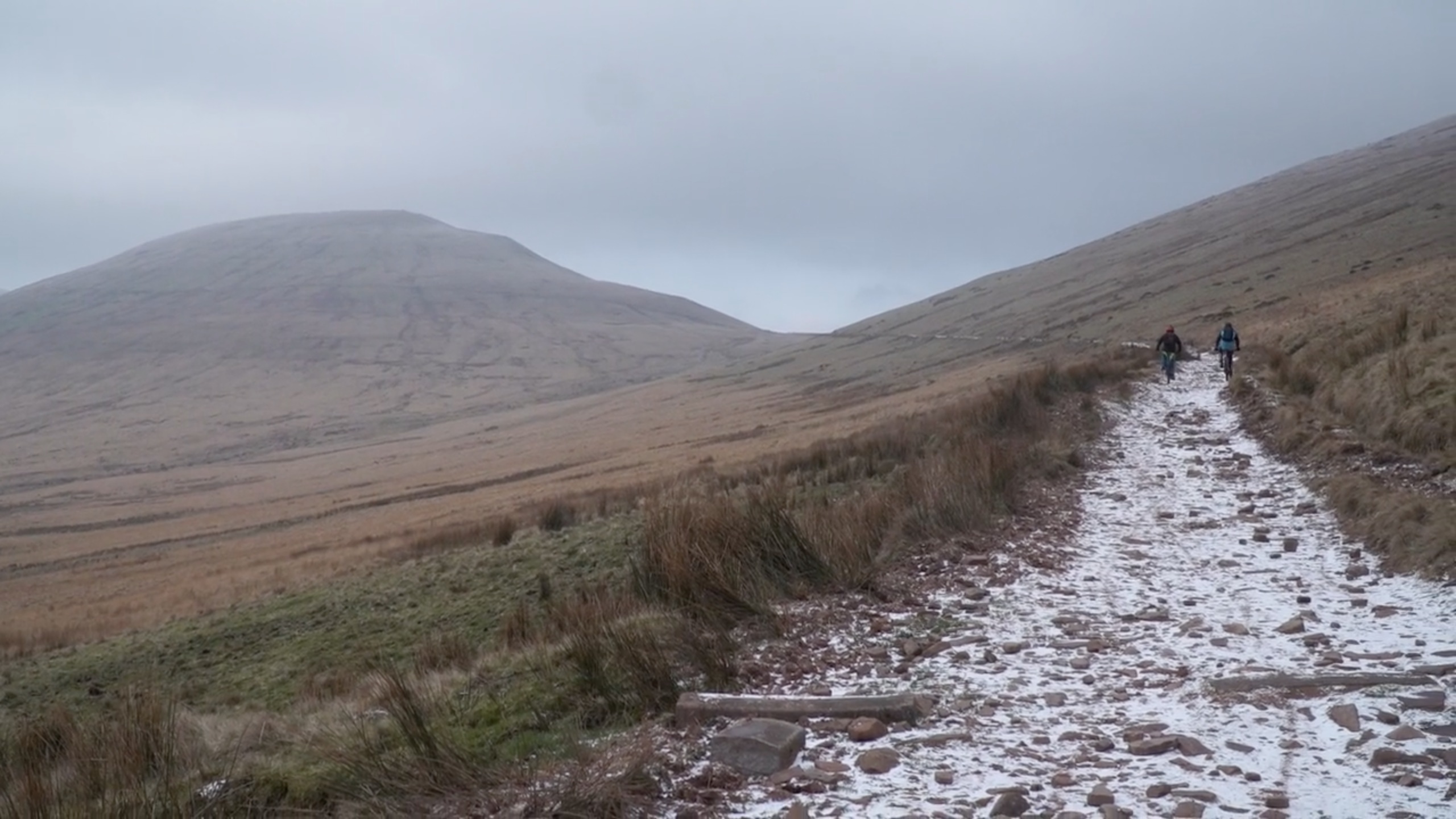 ratboyloosedogbrecons02