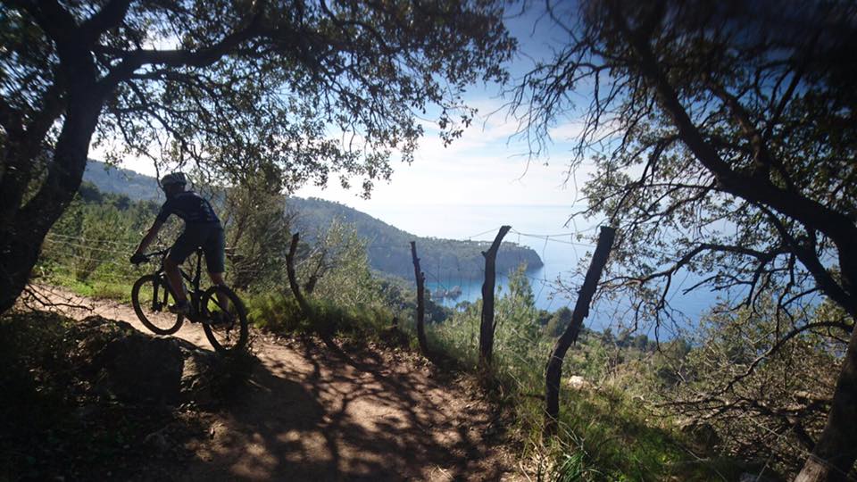 rachel sokal mallorca coast sea