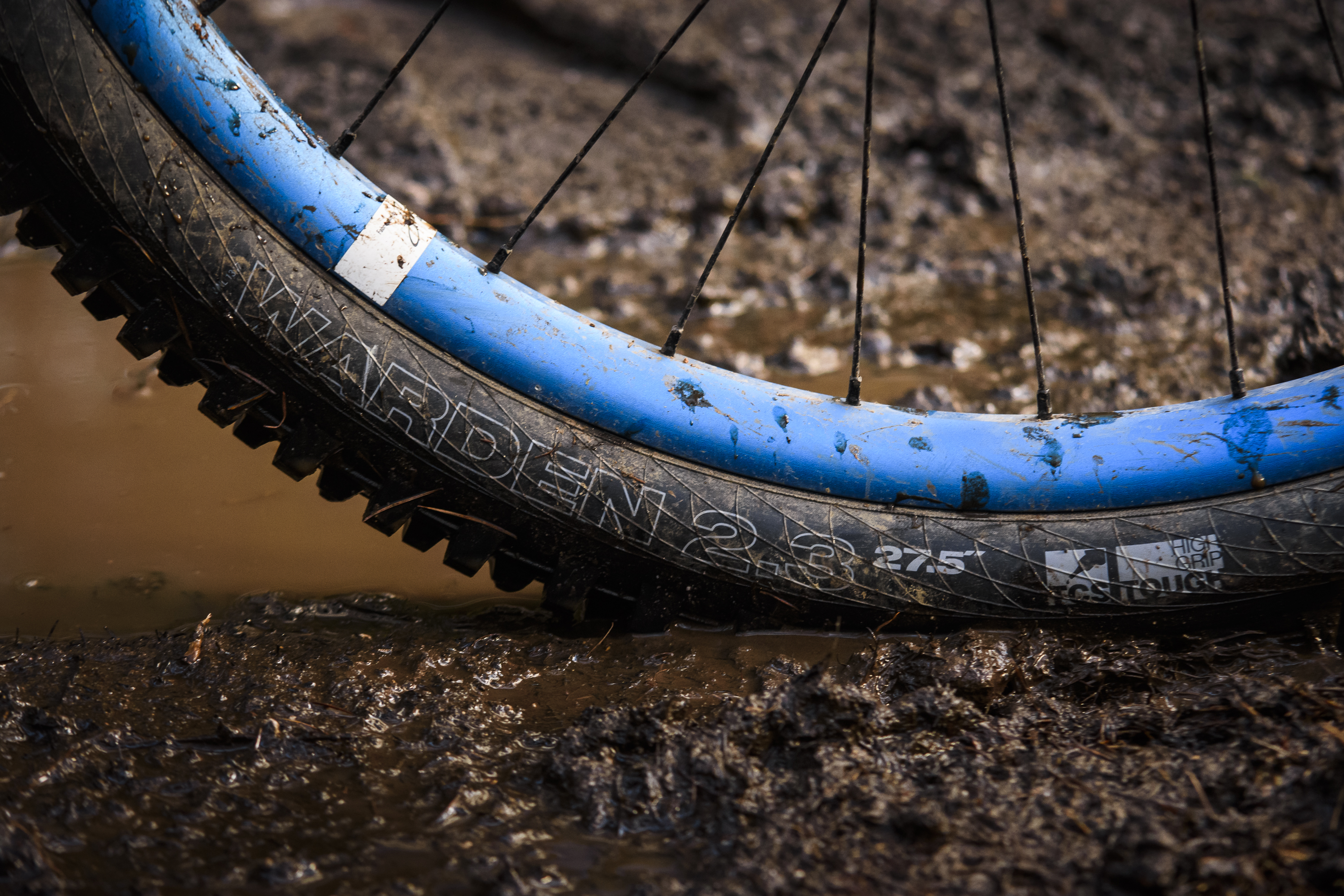 WTB Warden TCS Tough High Grip Tyre