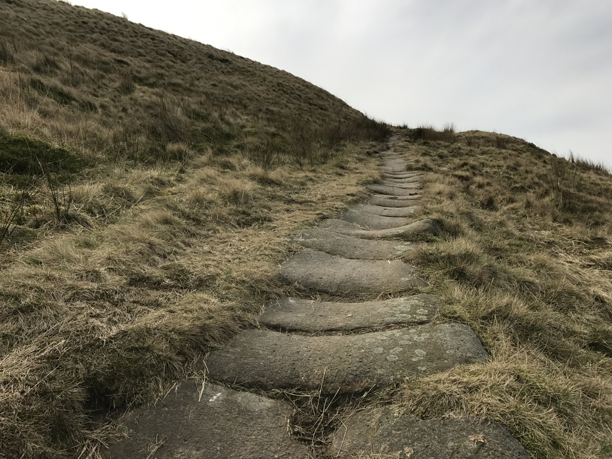 Diversion Diary | Silver Linings and Simple Pleasures