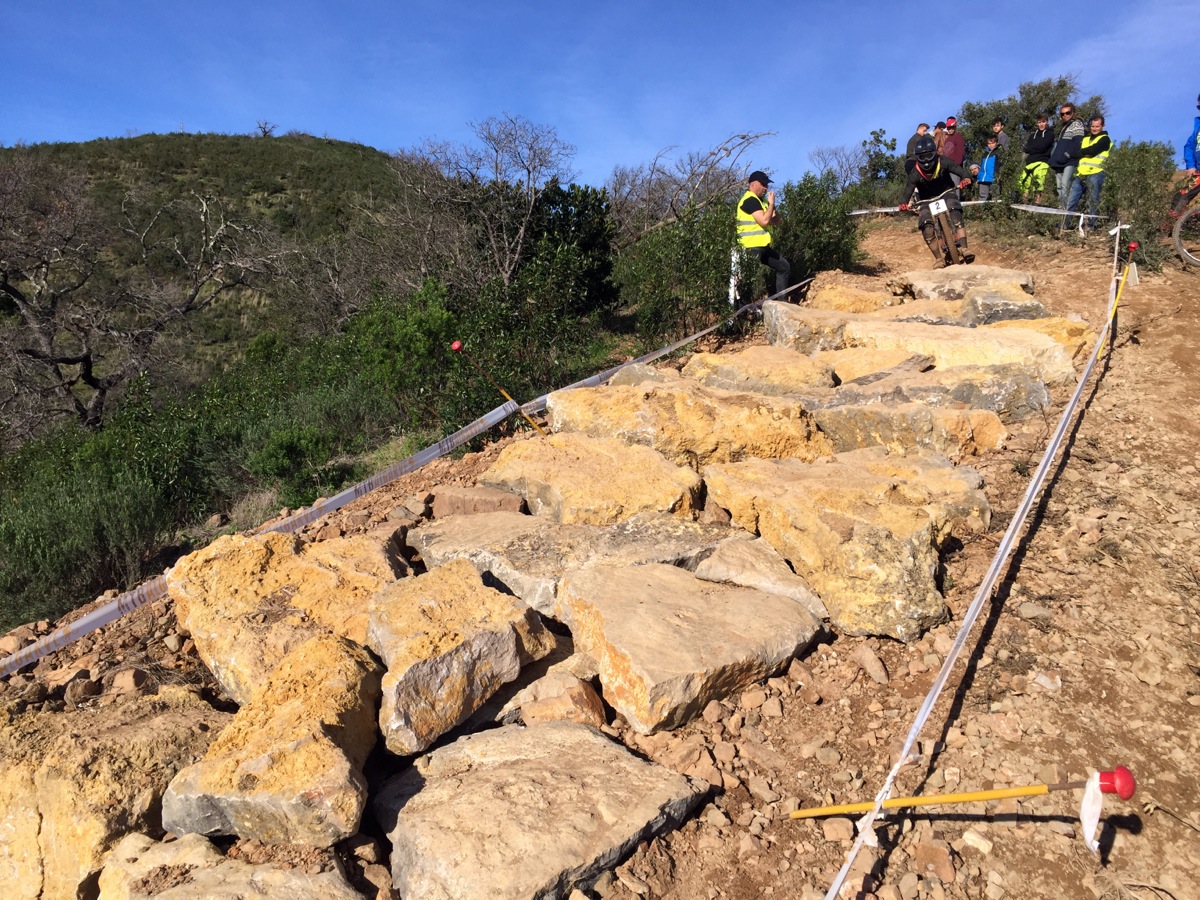 Rock Garden