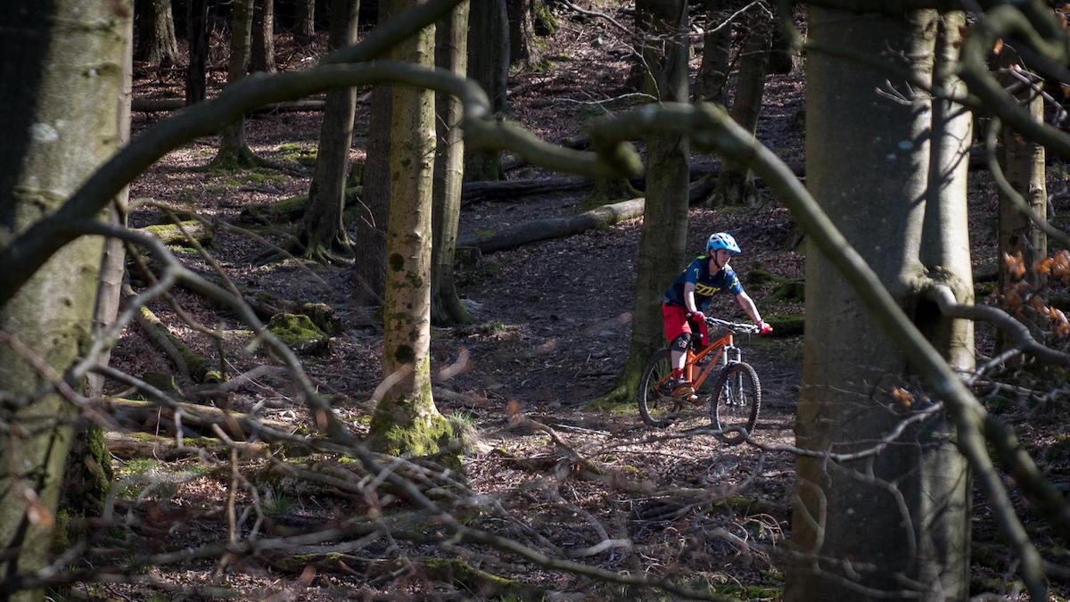 ben gerrish woods