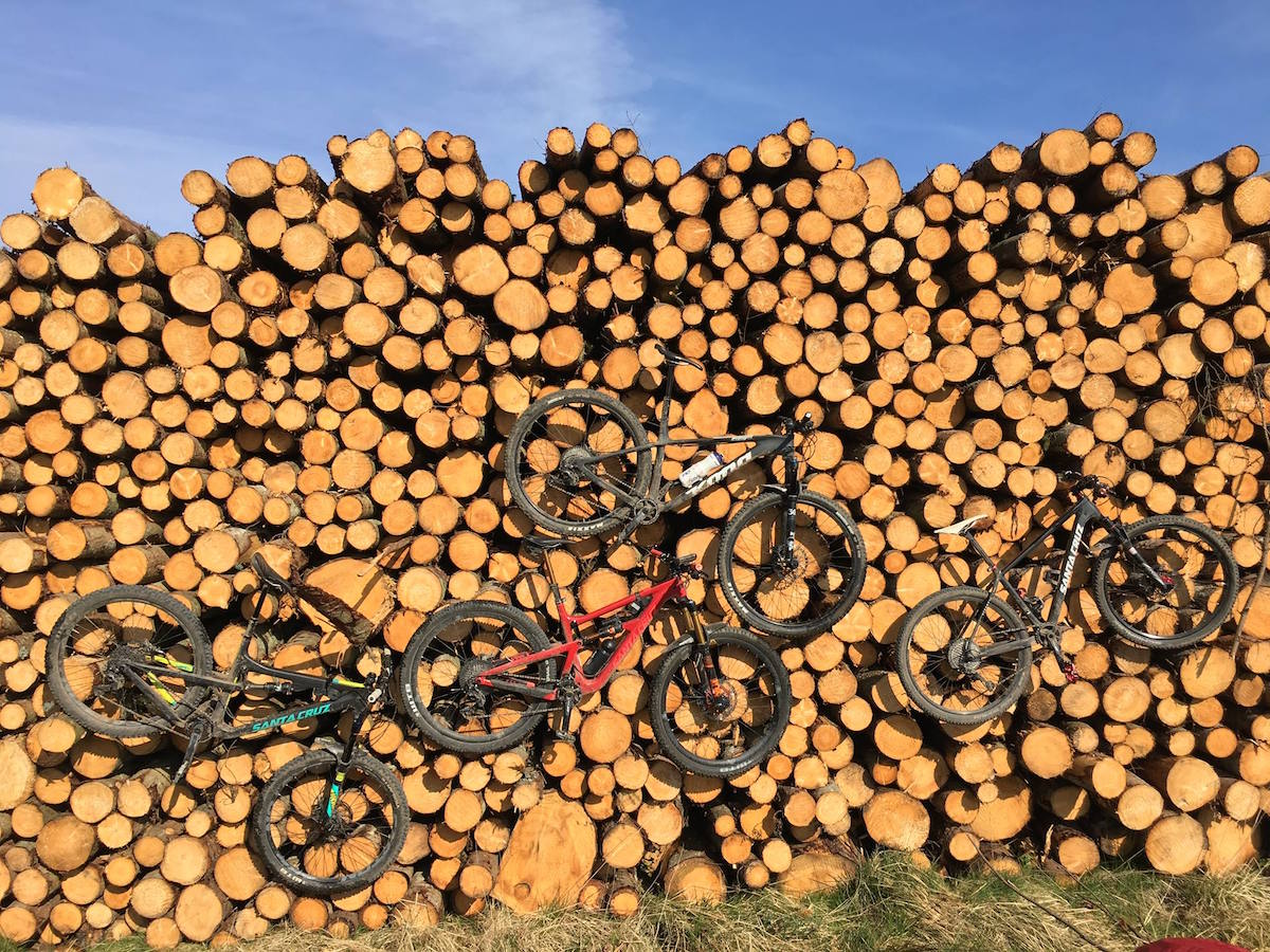 tom nash logs