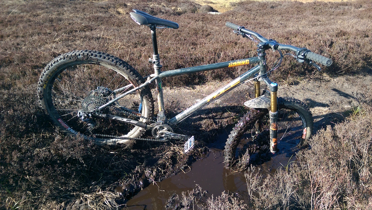 david mud pace bog
