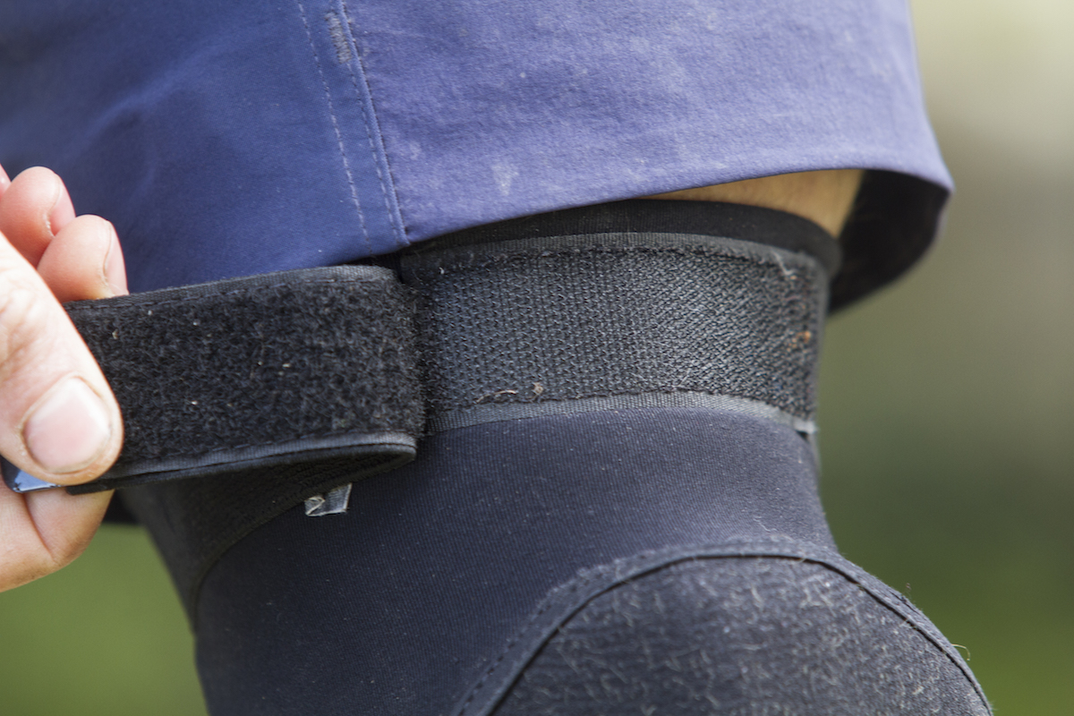 bluegrass eagle crossbill knee pad