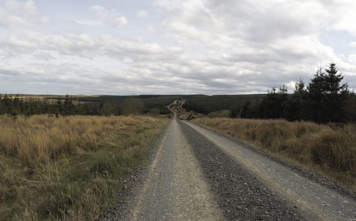 Entered the Dirty Reiver? Don’t Panic!