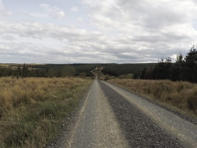 Entered the Dirty Reiver? Don’t Panic!