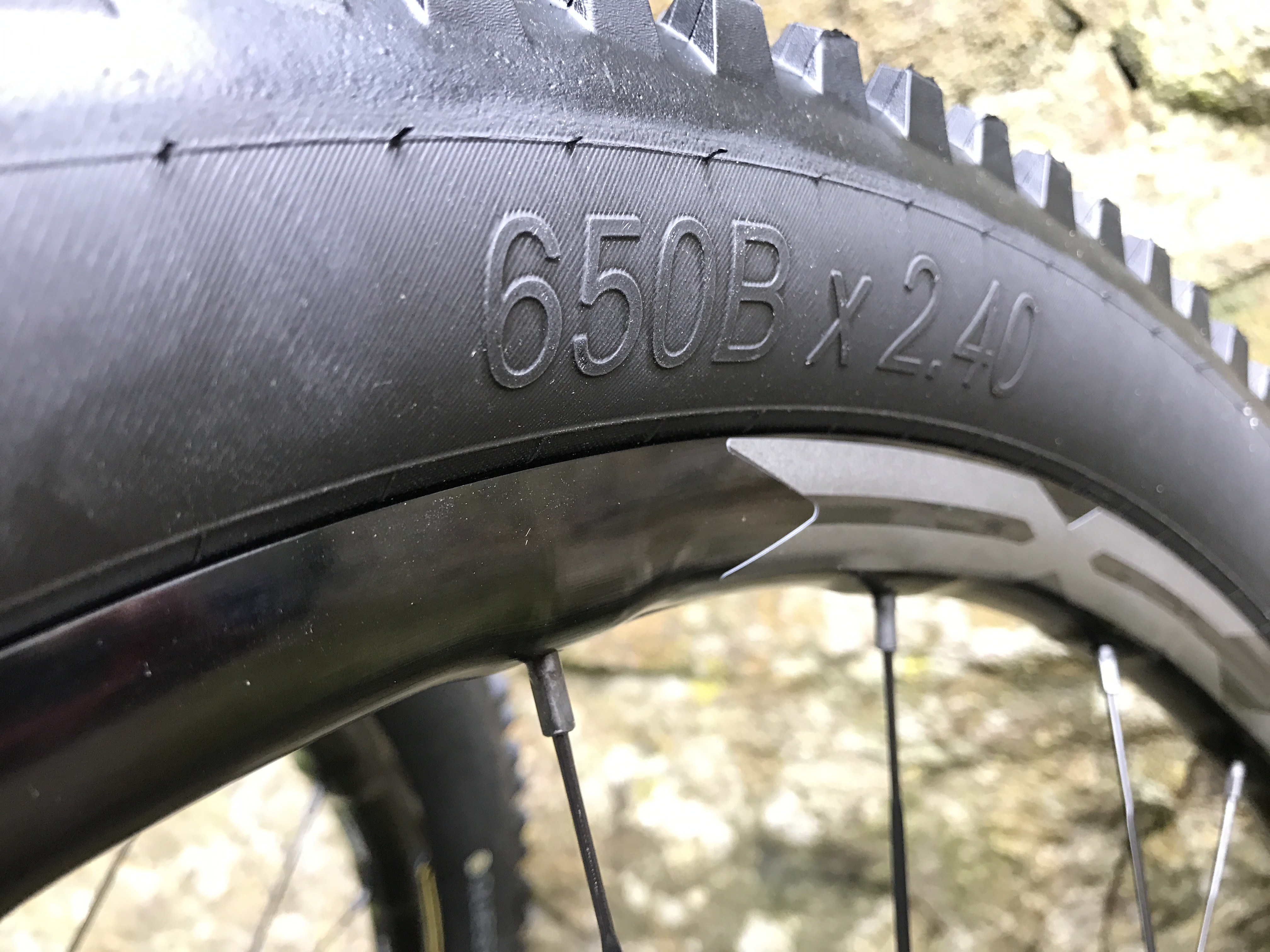 Mavic Wheels FGF