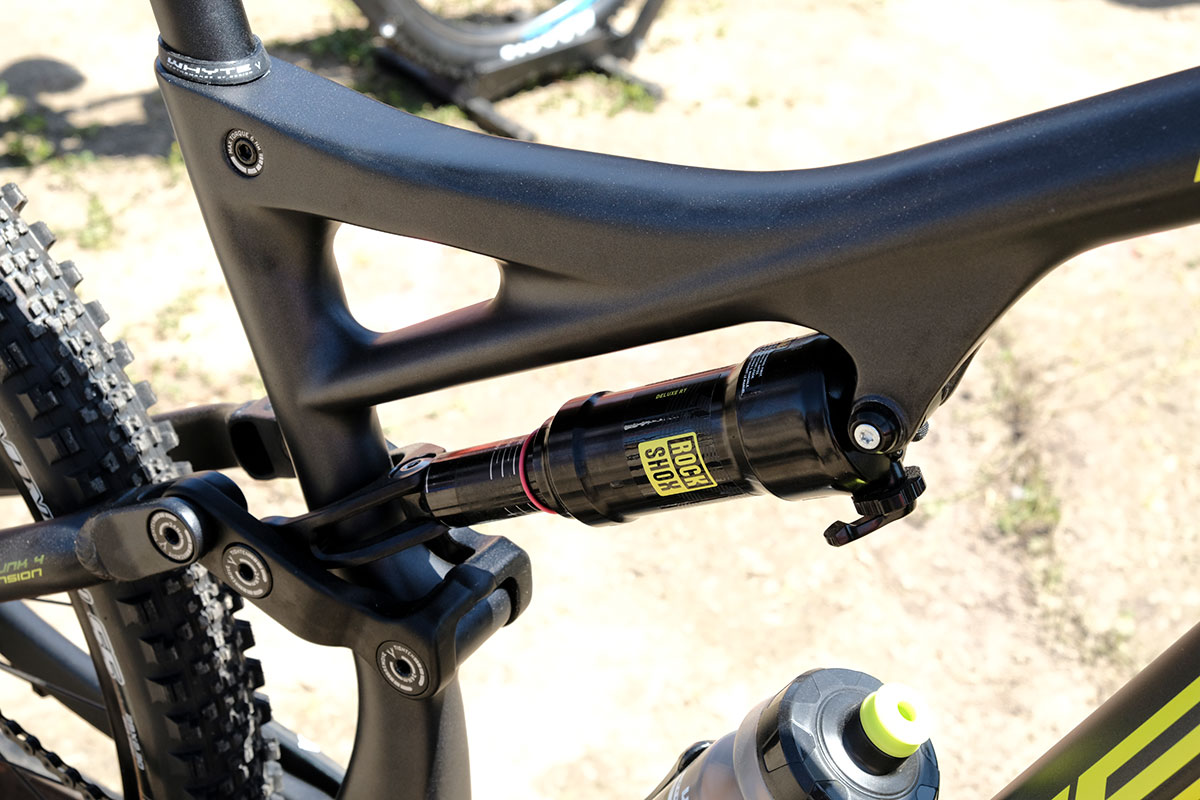 seaotter2017-_whyte003