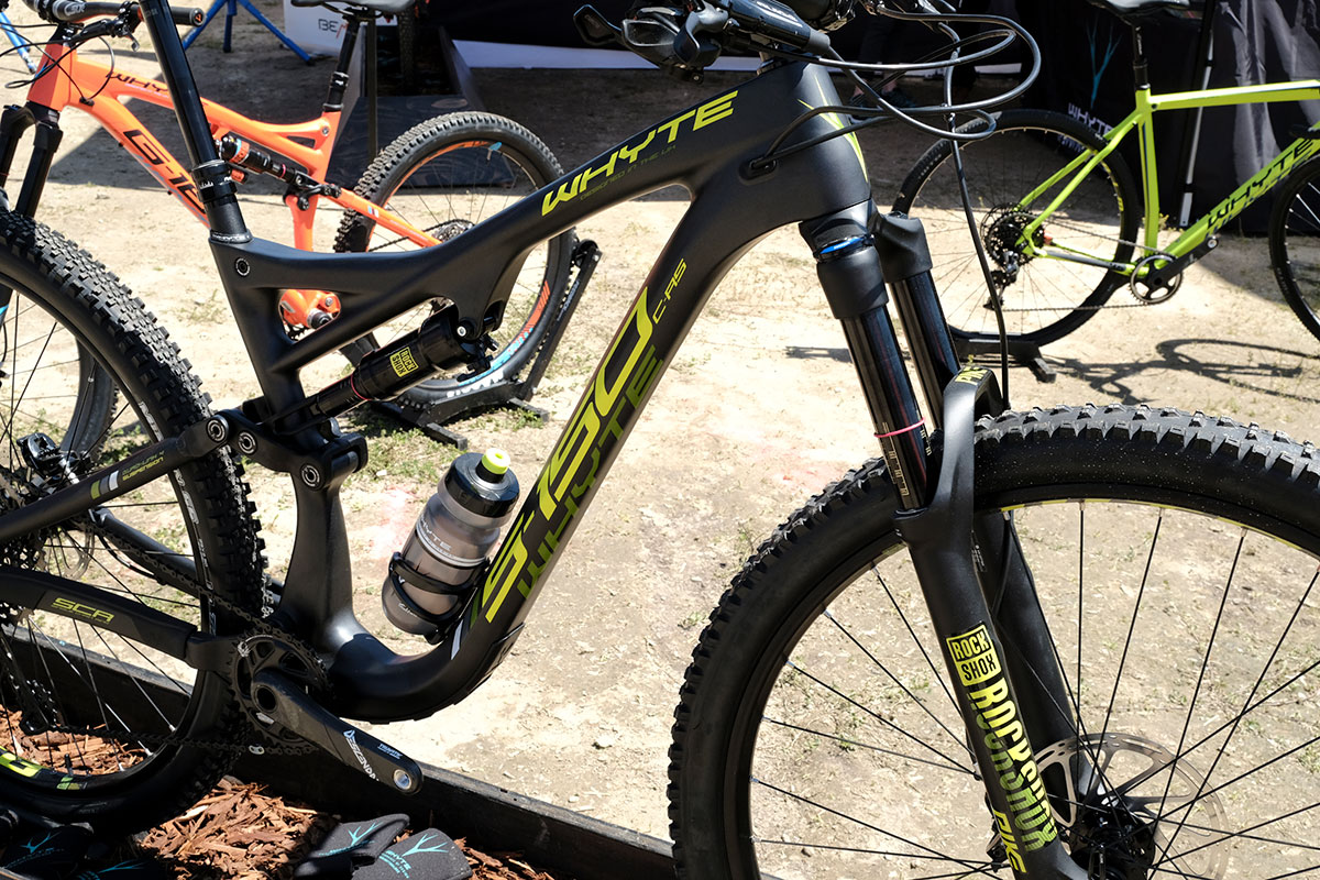 seaotter2017-_whyte004