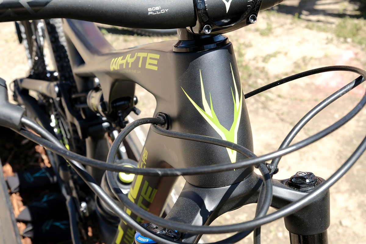seaotter2017-_whyte005
