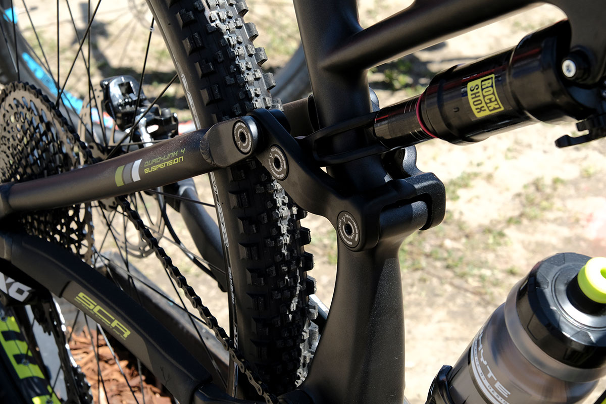 seaotter2017-_whyte006